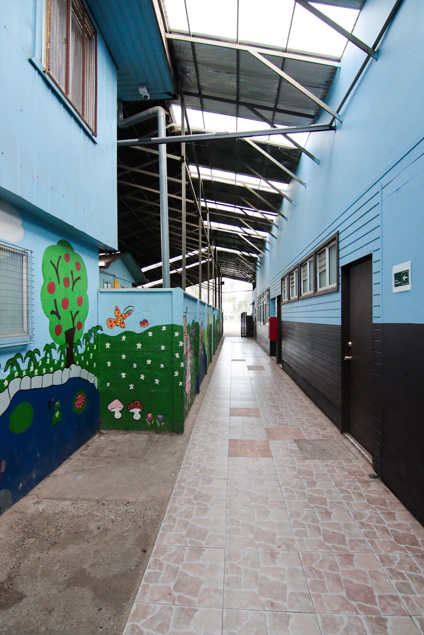 Pasillo de salas con murales de naturaleza